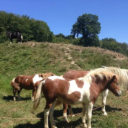 Vakantieboerderij Pensiunea Poiana