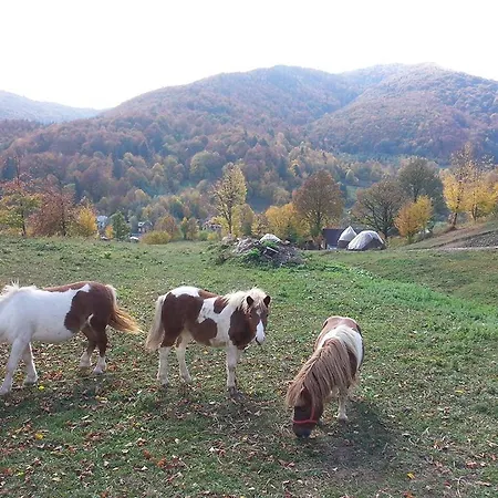 Vakantieboerderij Pensiunea Poiana *