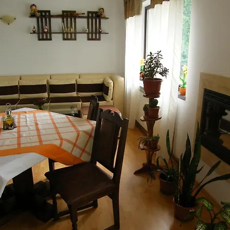 Guest house Pensiunea Poiana