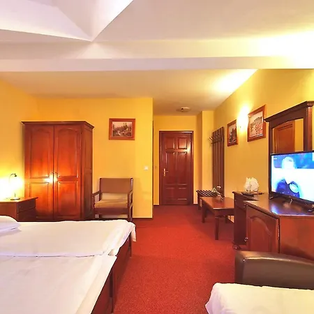 Guest house Pensiunea Poiana Slanic Moldova