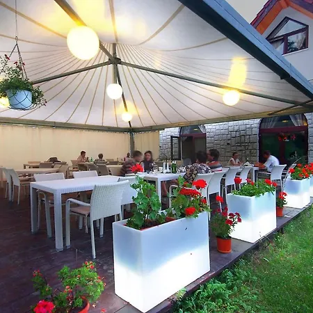 Pensiunea Poiana Guest house 3*