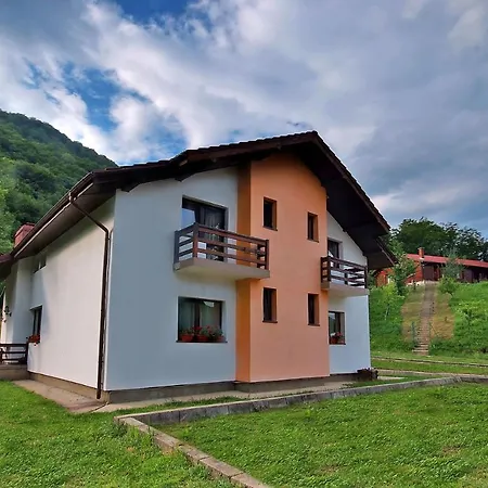 Pensiunea Poiana Guest house 3*
