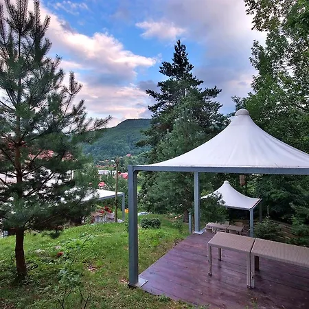 Guest house Pensiunea Poiana 3*