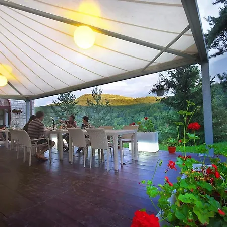 Pensiunea Poiana Guest house